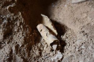 Dead Sea Scroll Discover